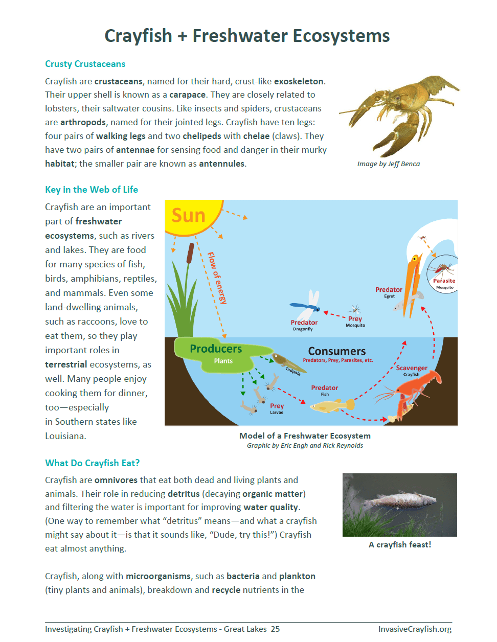 Students will gain a foundational understanding of freshwater ecosystems, including the interactions between biotic and abiotic factors, the structure of food webs, and the dynamics of energy flow through trophic levels.