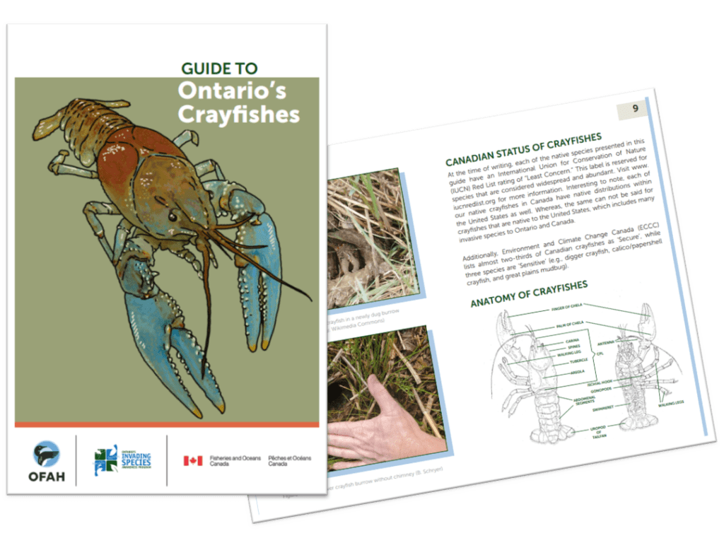 Ontario Guide